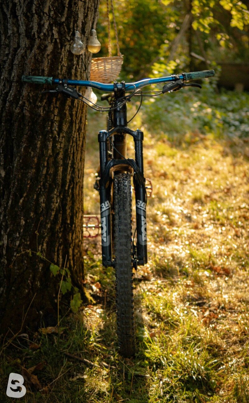 Trek Fuel EX 5 29 2017