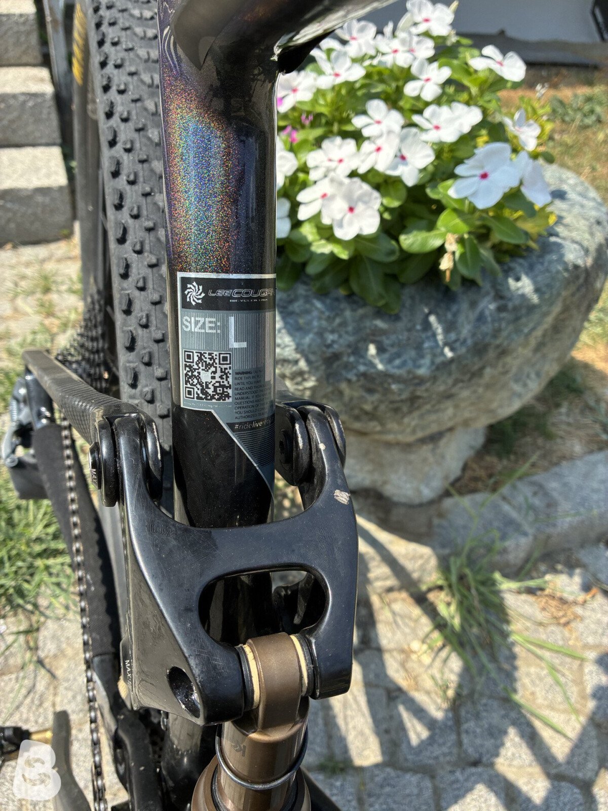 Lee Cougan Cross fire Nebula 2022