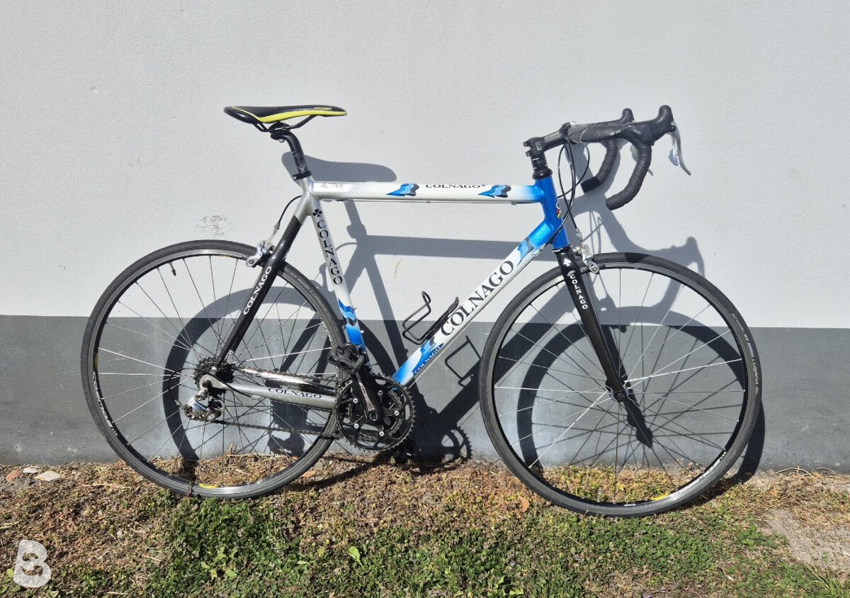 Colnago Active