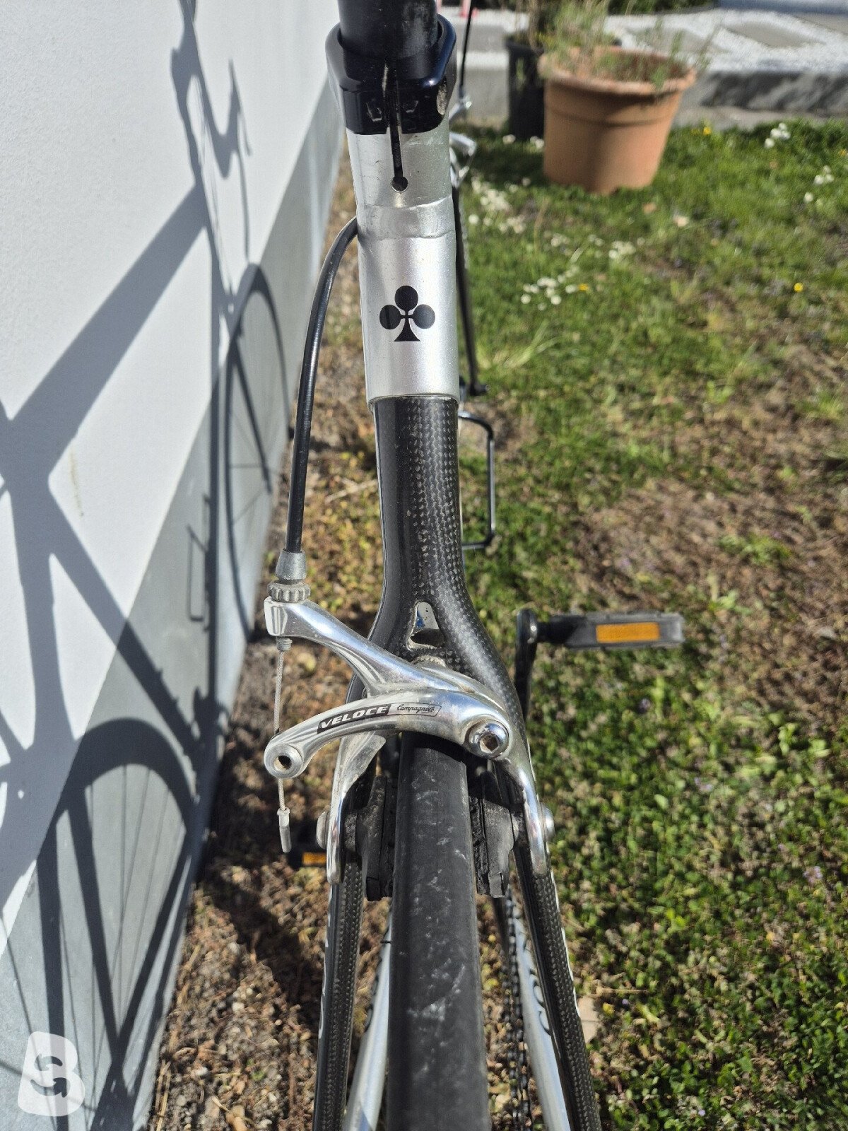Colnago Active