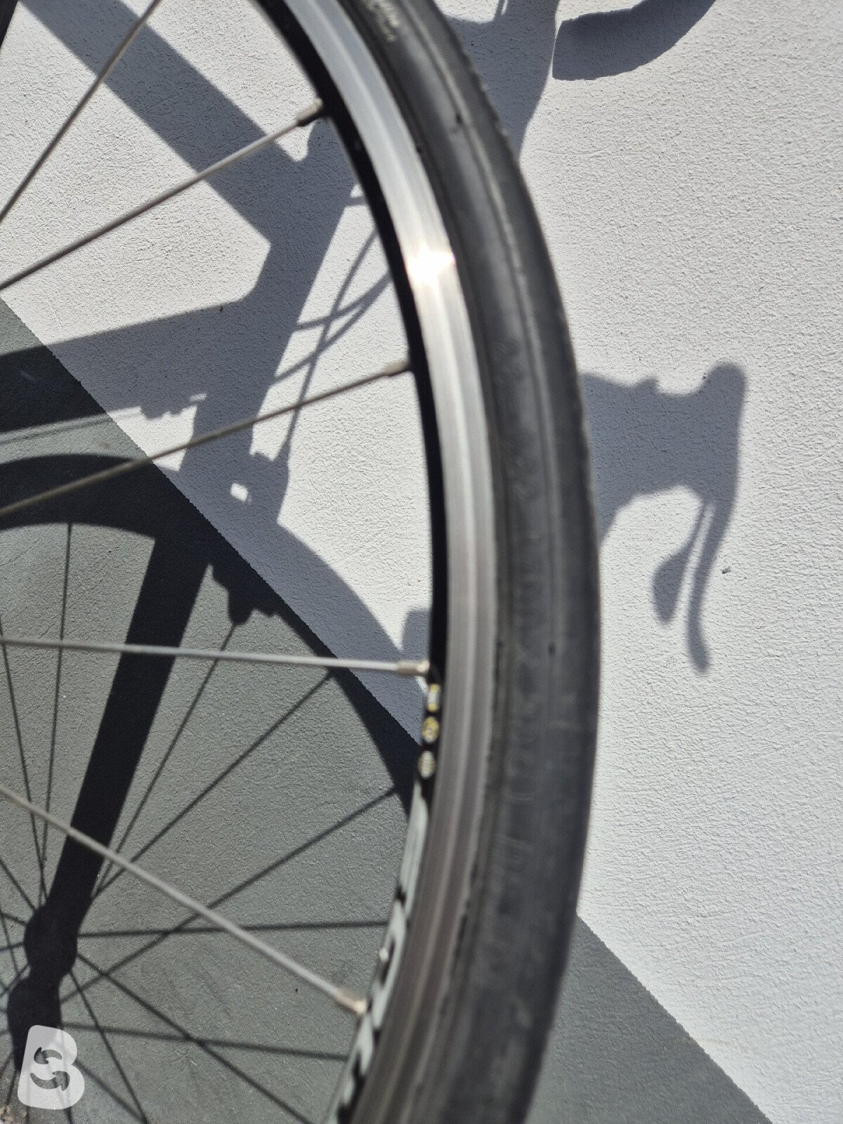 Colnago Active