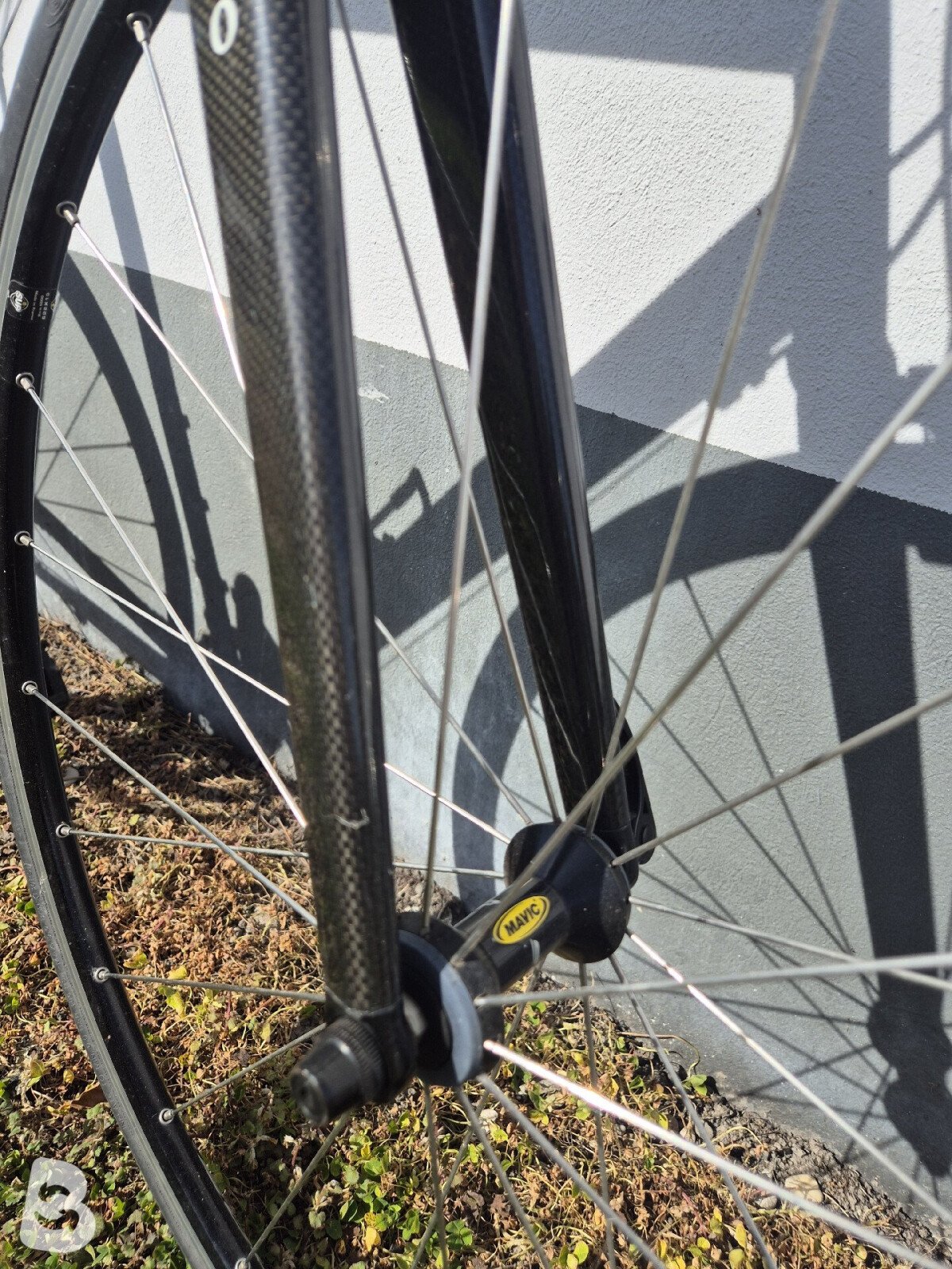 Colnago Active