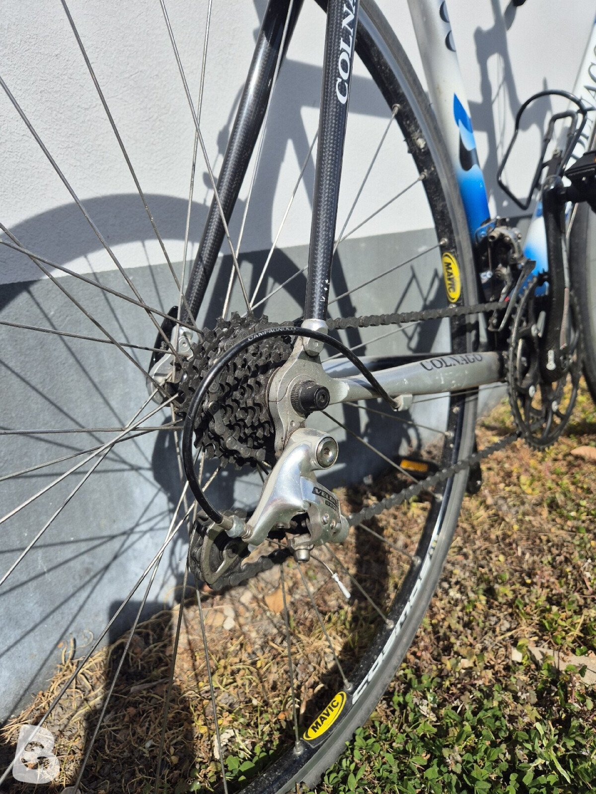 Colnago Active