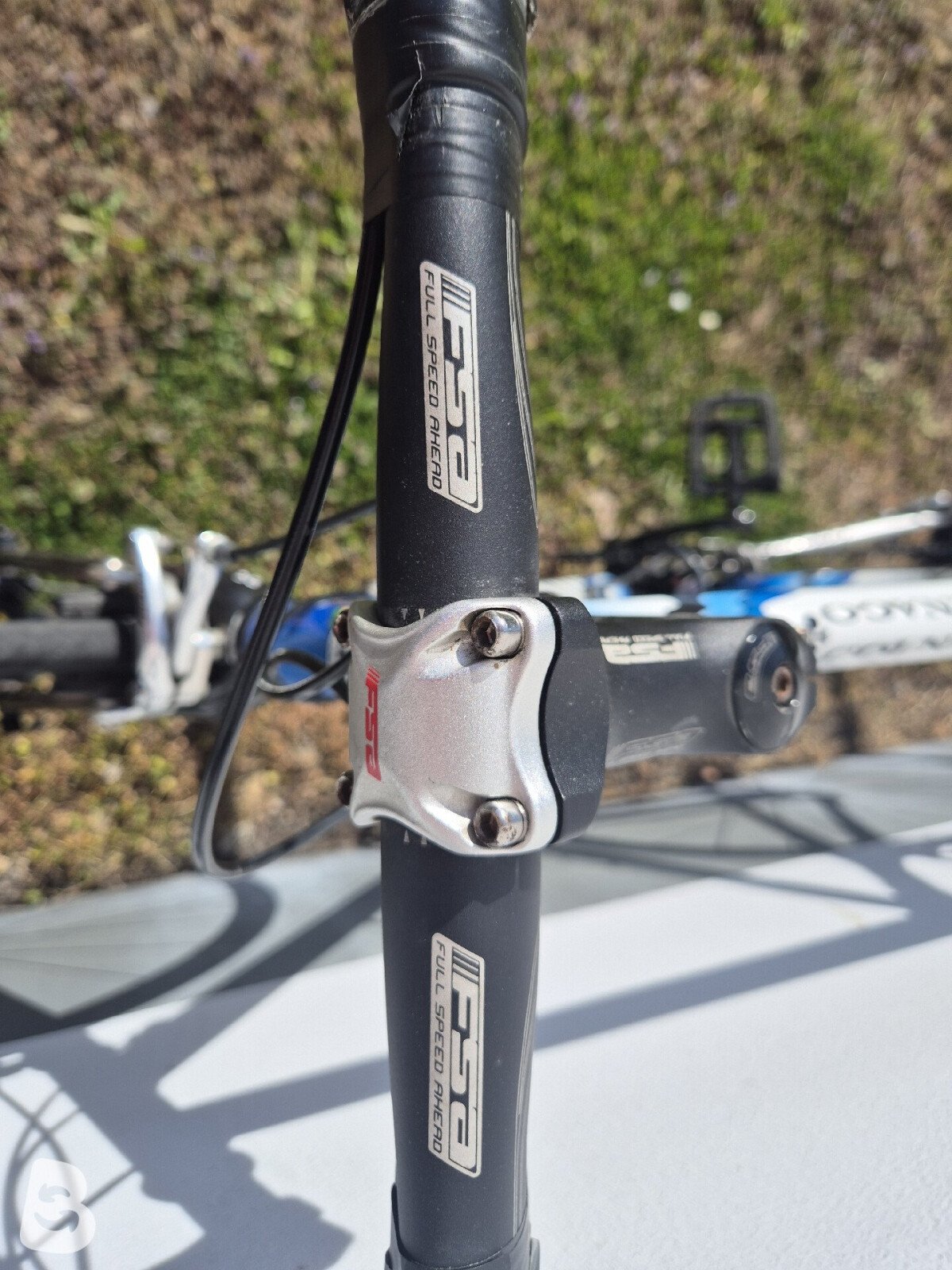 Colnago Active