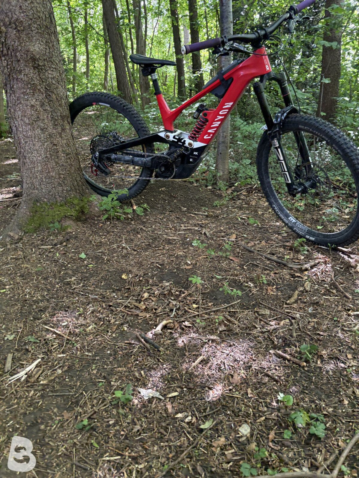 Canyon Torque:ON CF Roczen 2023