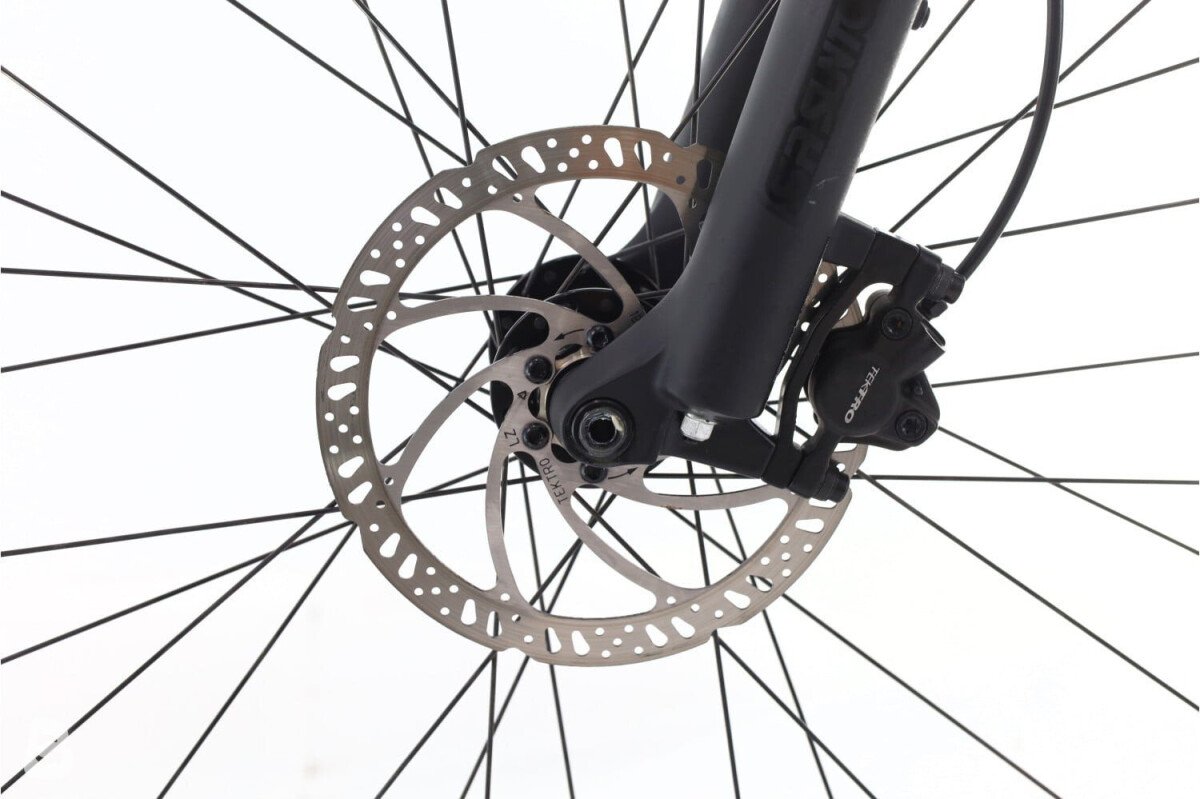 Corratec Corratec E-Power X-Vert 2024