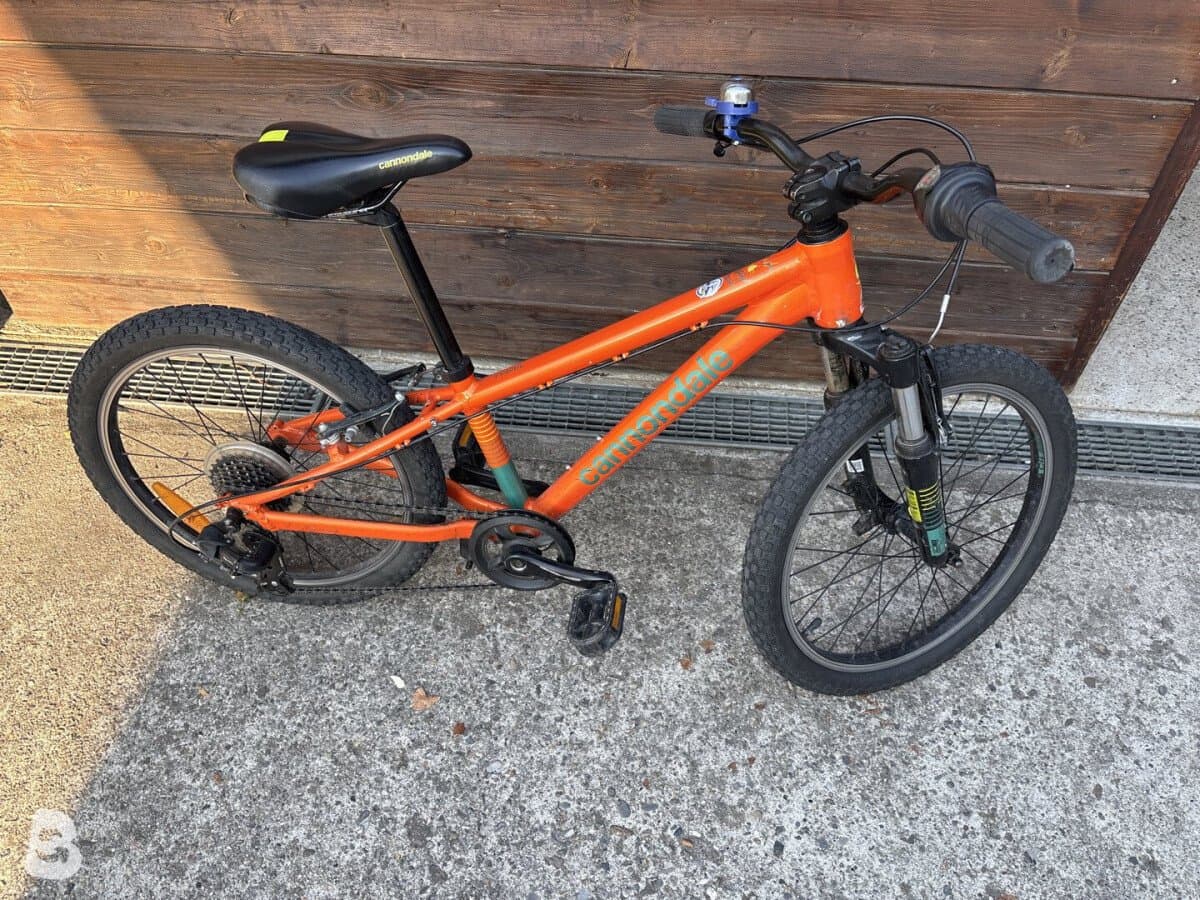 Cannondale Kids Trail 20 2019