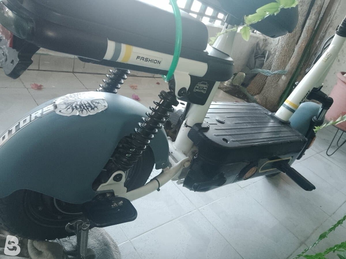 EBIKE Camellito 2025