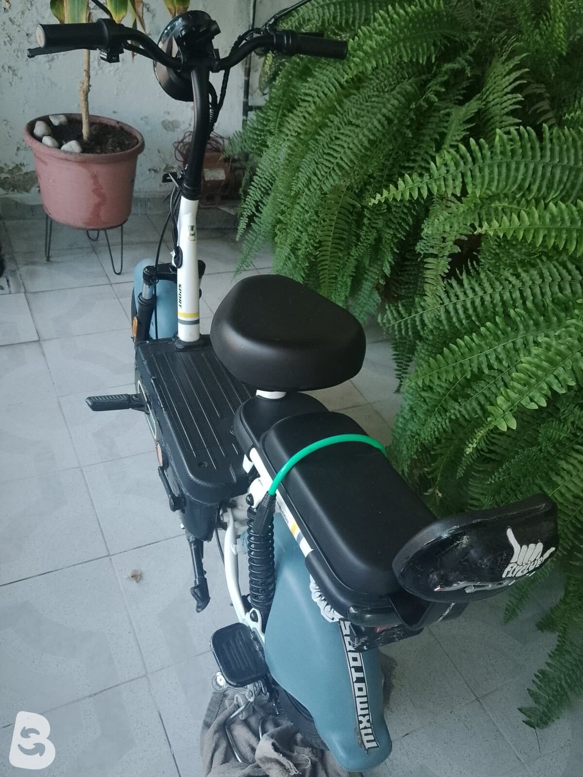 EBIKE Camellito 2025
