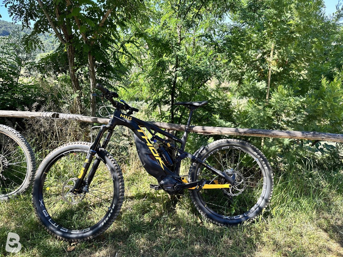 Thok MIG LIMITED Yellow Edition 2022