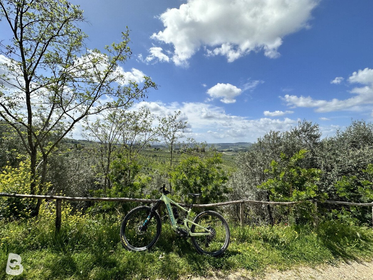Santa Cruz HECKLER R MX / Carbon C 2023