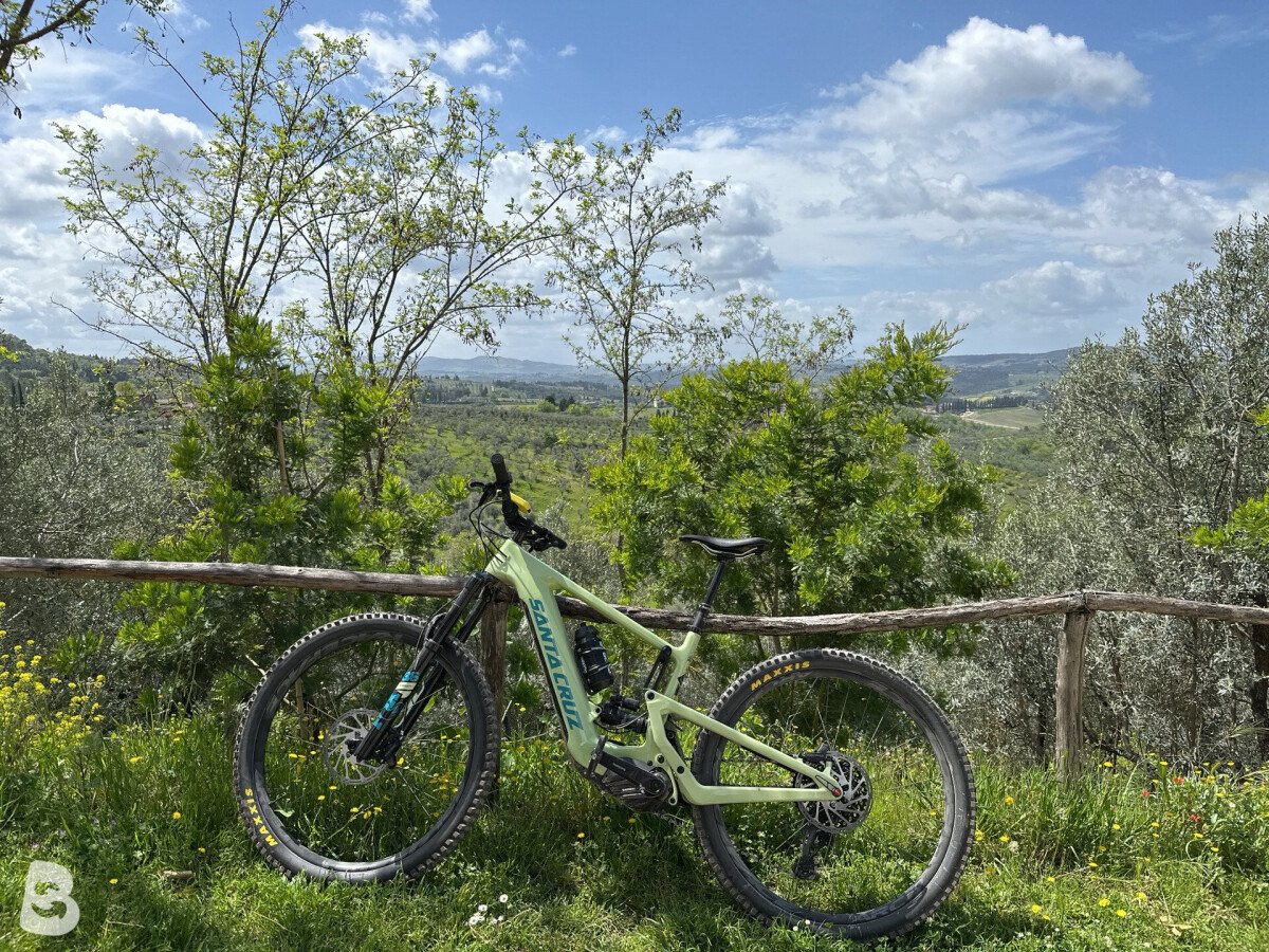 Santa Cruz HECKLER R MX / Carbon C 2023