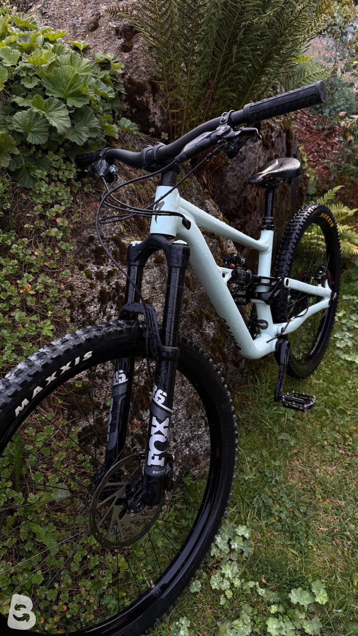 Specialized Status 160 2022