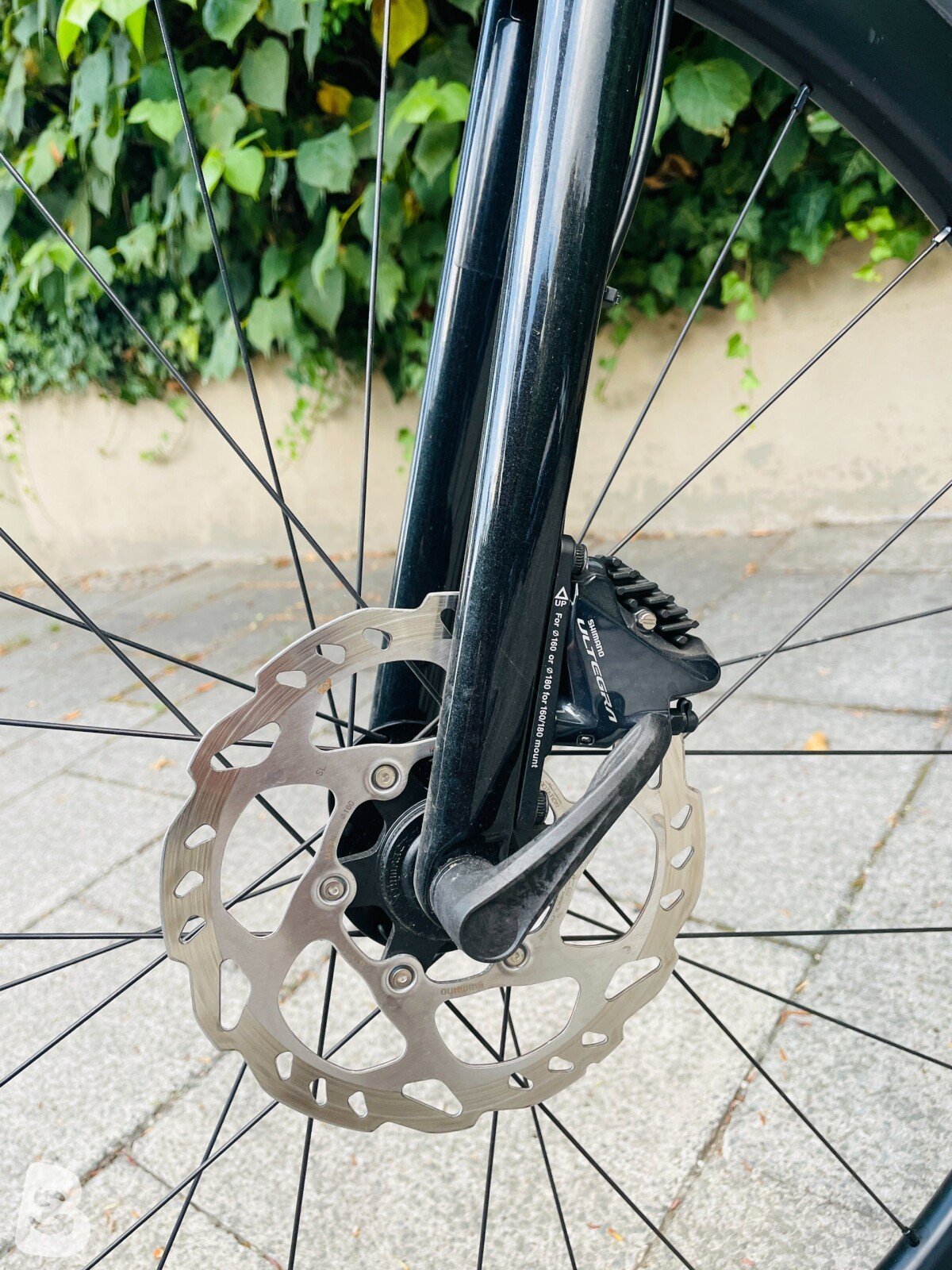 Liv Langma Adcanced Pro 1 Disc 2021