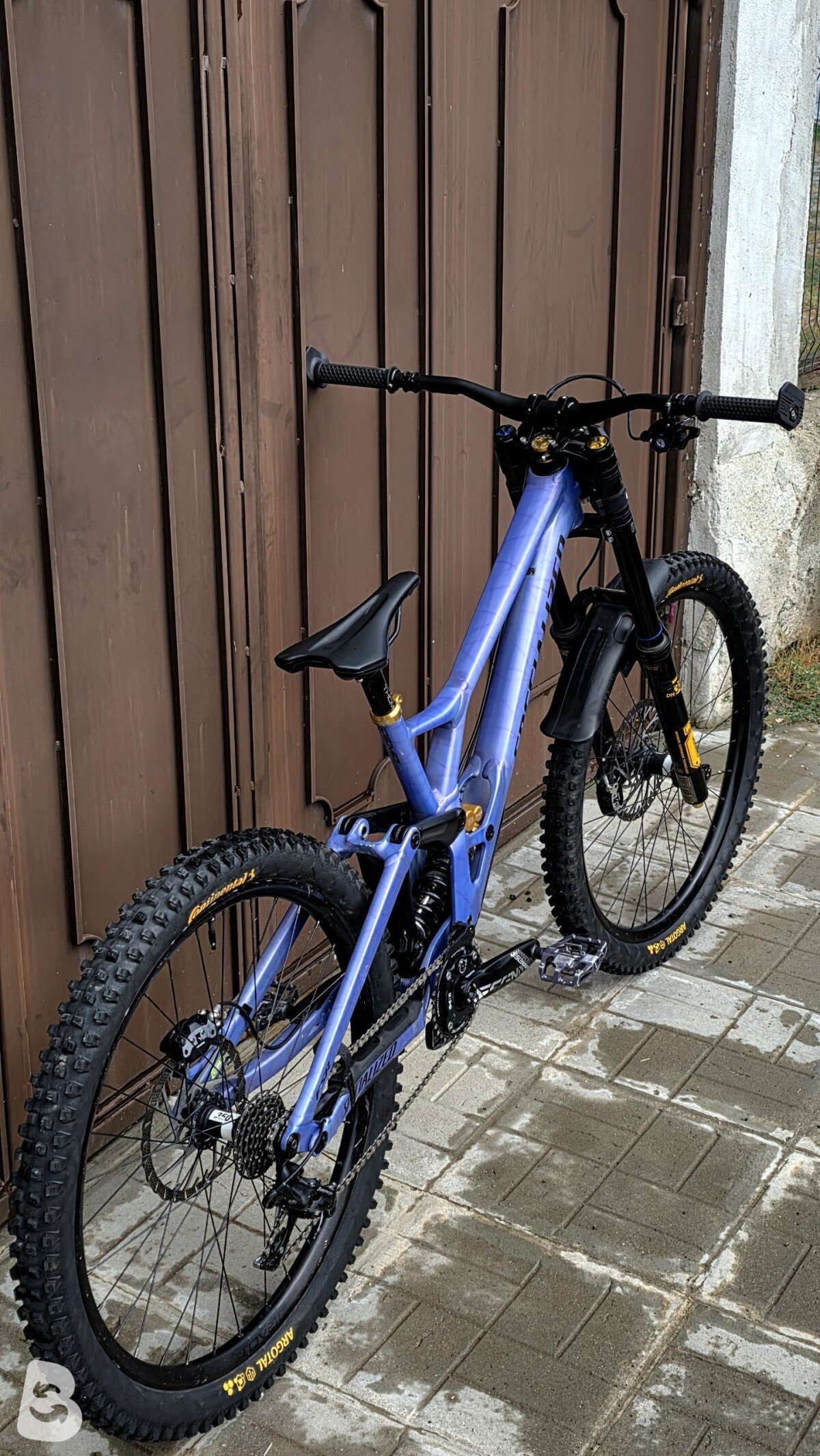 Specialized Demo Race 2024