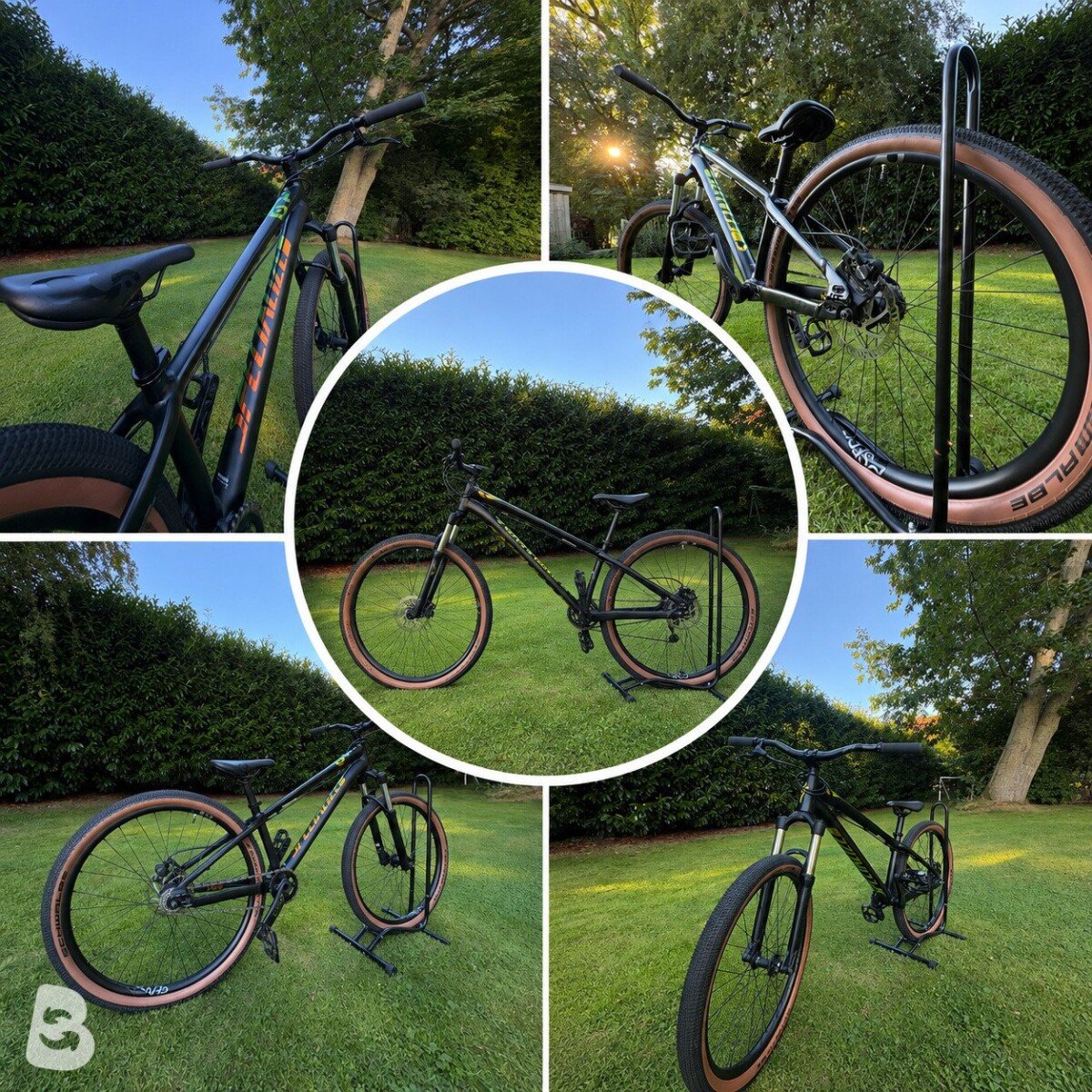 Specialized Dirt P.3