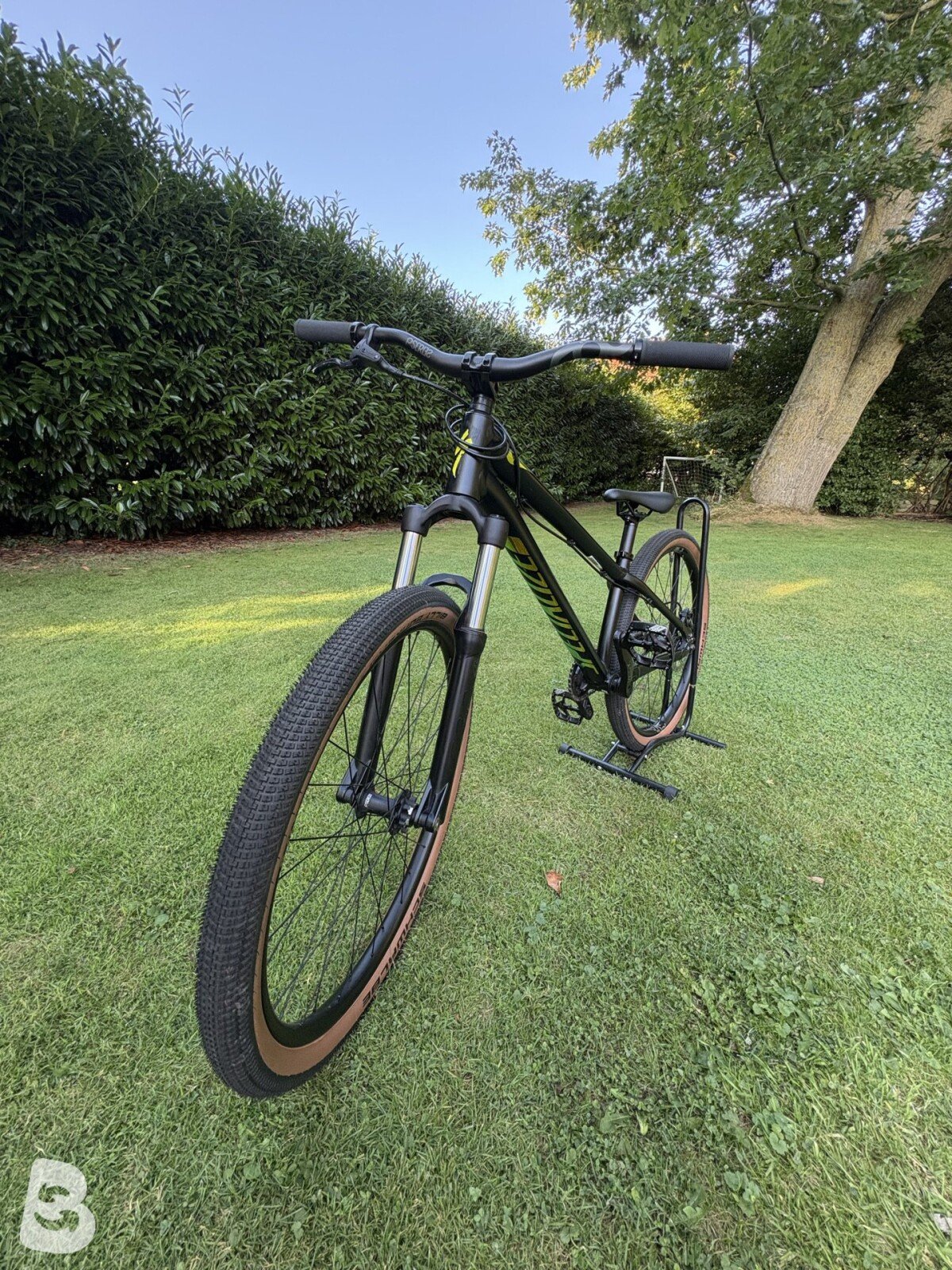 Specialized Dirt P.3