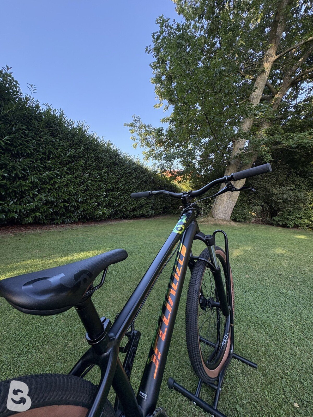 Specialized Dirt P.3