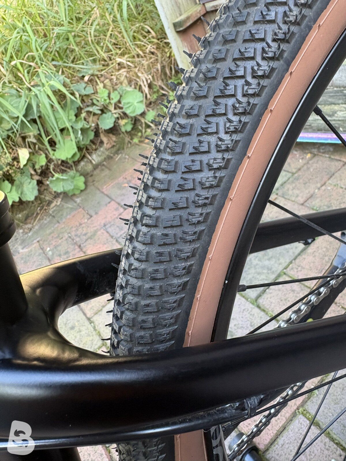 Specialized Dirt P.3
