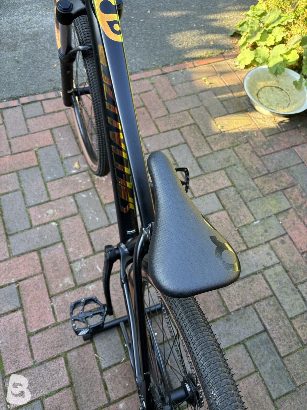 Specialized Dirt P.3