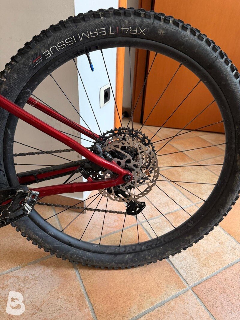 Trek Roscoe 9 2022