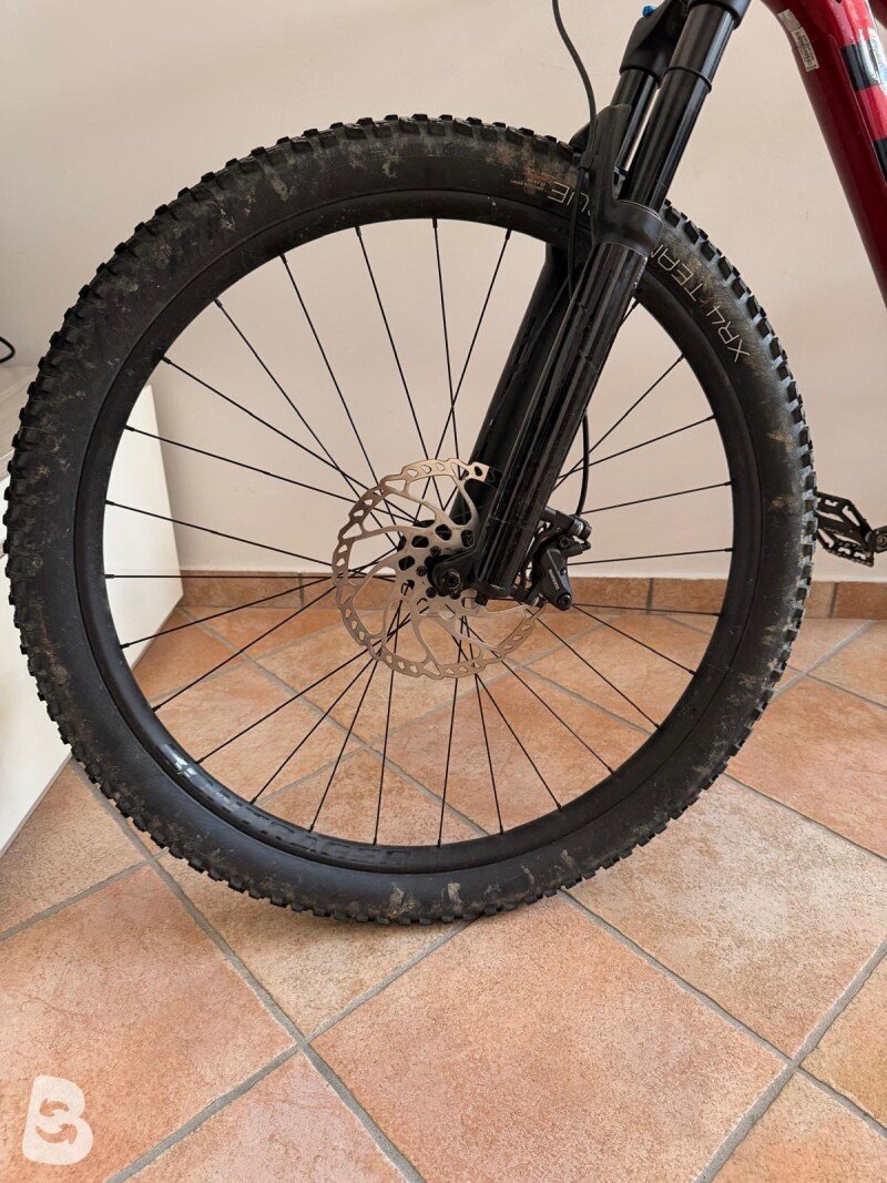 Trek Roscoe 9 2022