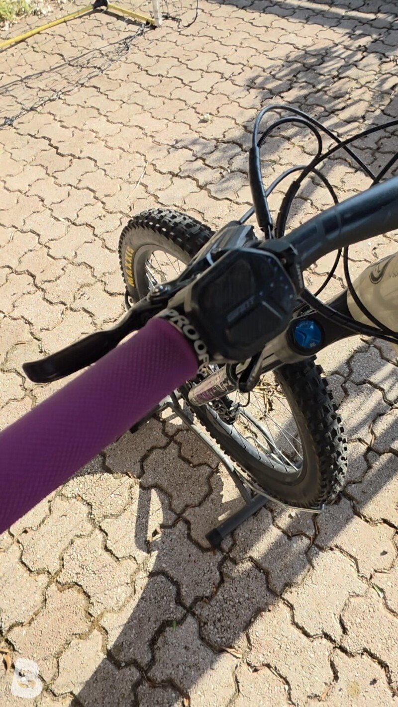 Giant Reign E+ 2 Pro 2020