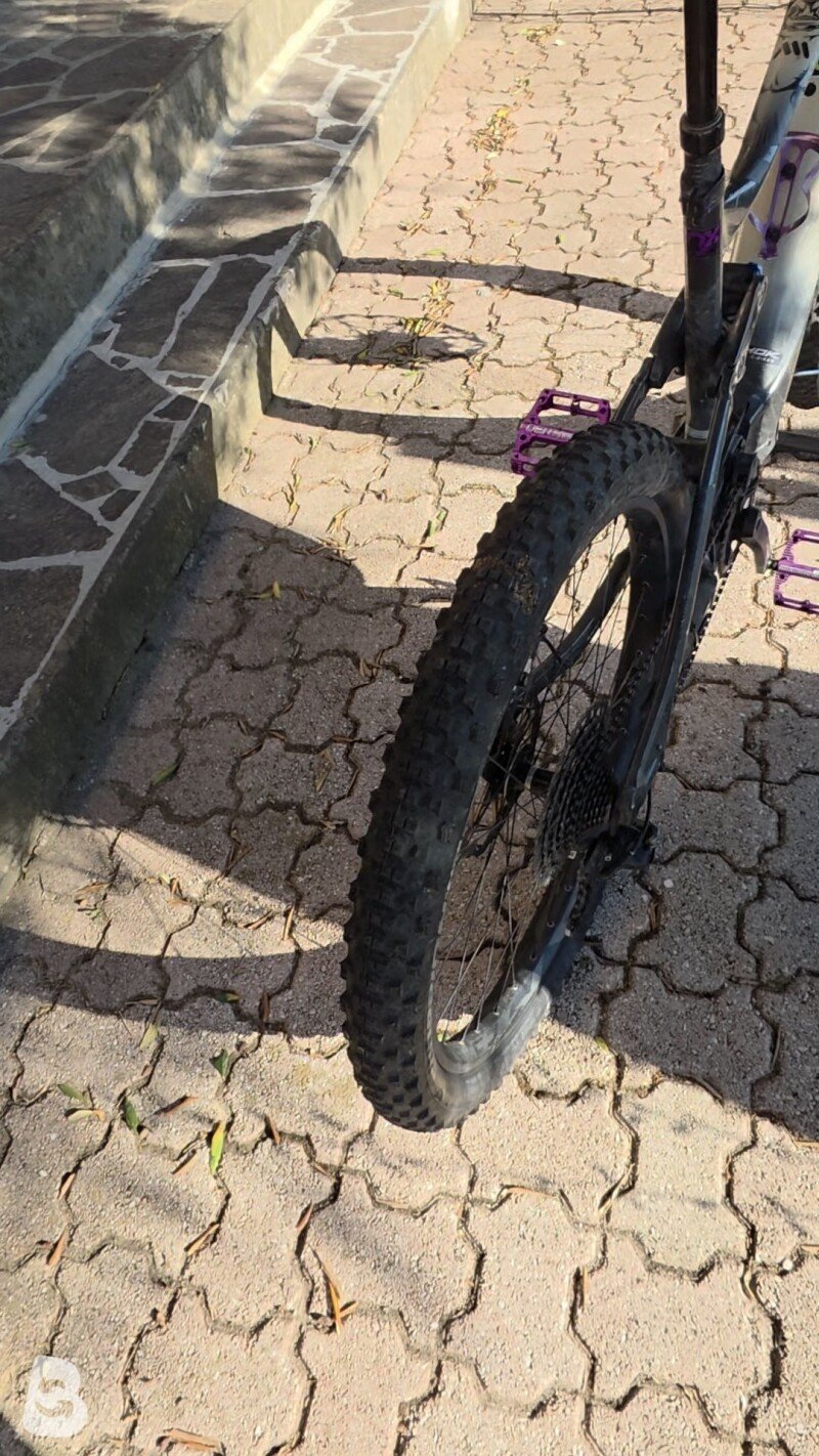 Giant Reign E+ 2 Pro 2020