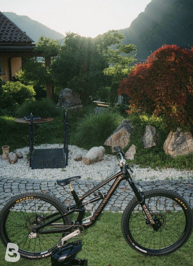Canyon Torque 29 CF 9 2022