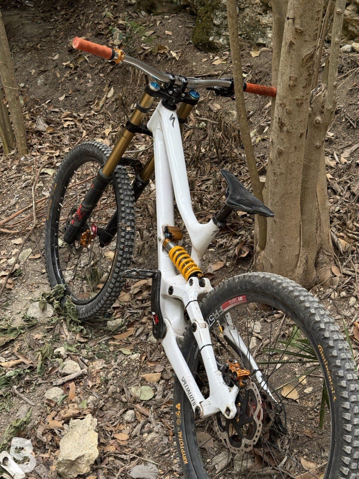 Specialized S-Works Demo 8 2018