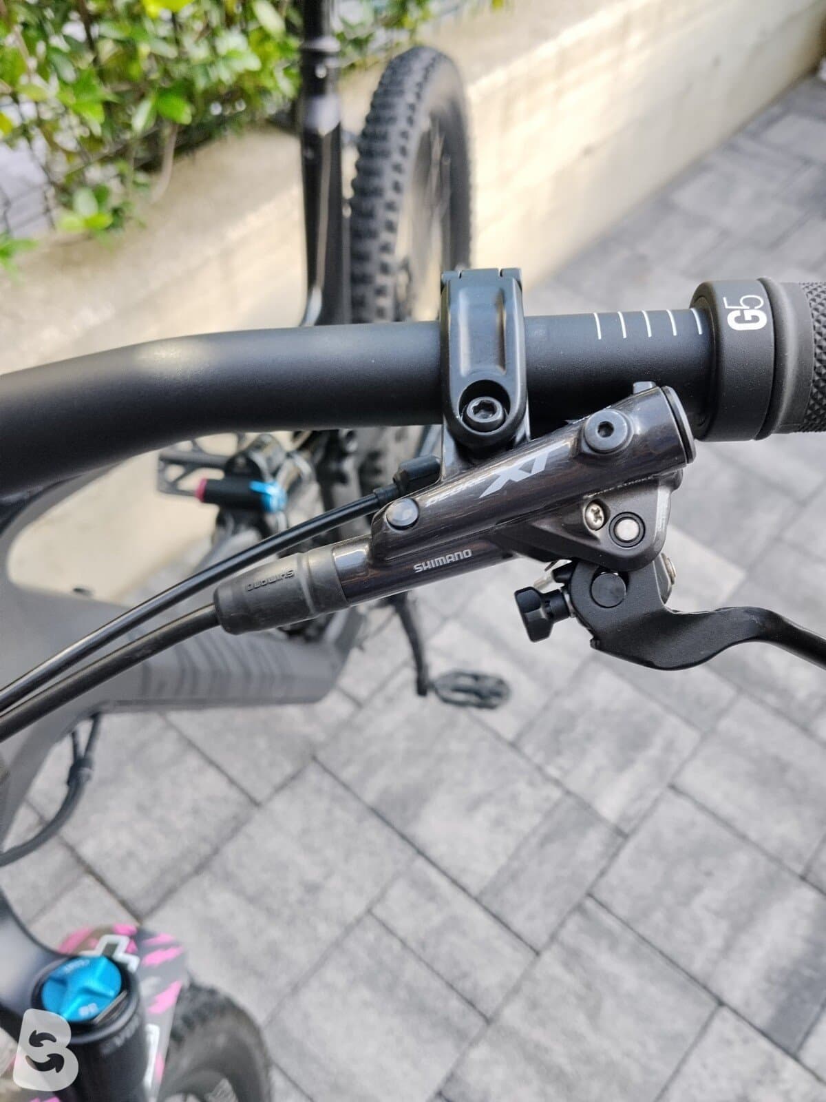 Canyon Spectral CF 8 2021