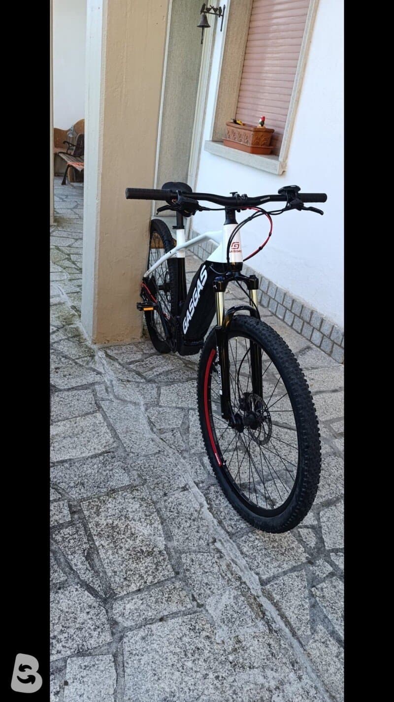 GasGas Cross Country 5.0 2021