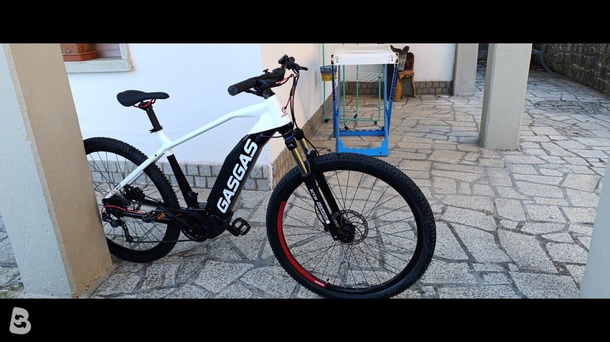 GasGas Cross Country 5.0 2021
