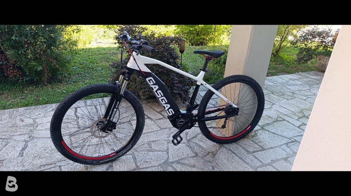 GasGas Cross Country 5.0 2021