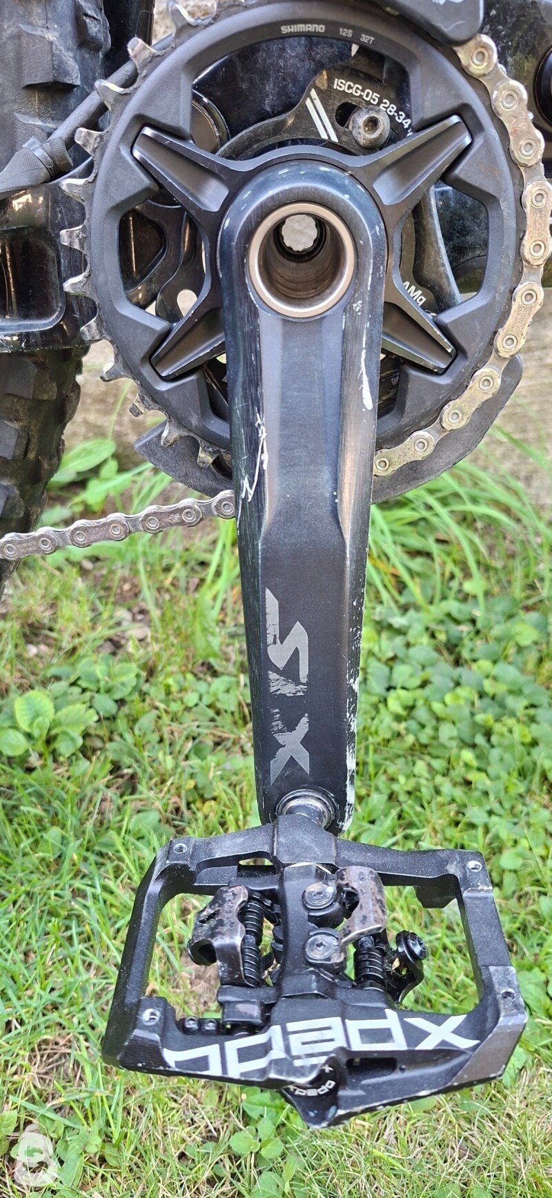Giant Reign 2 2021