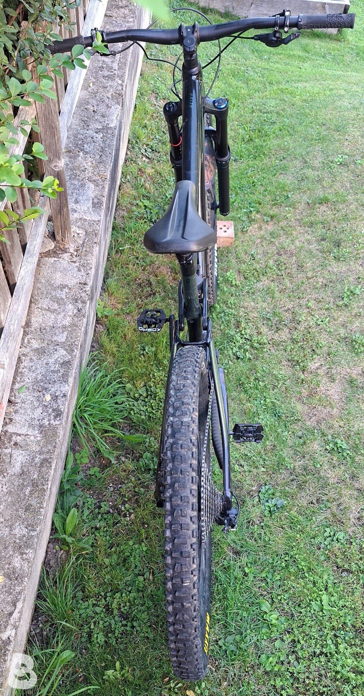 Giant Reign 2 2021