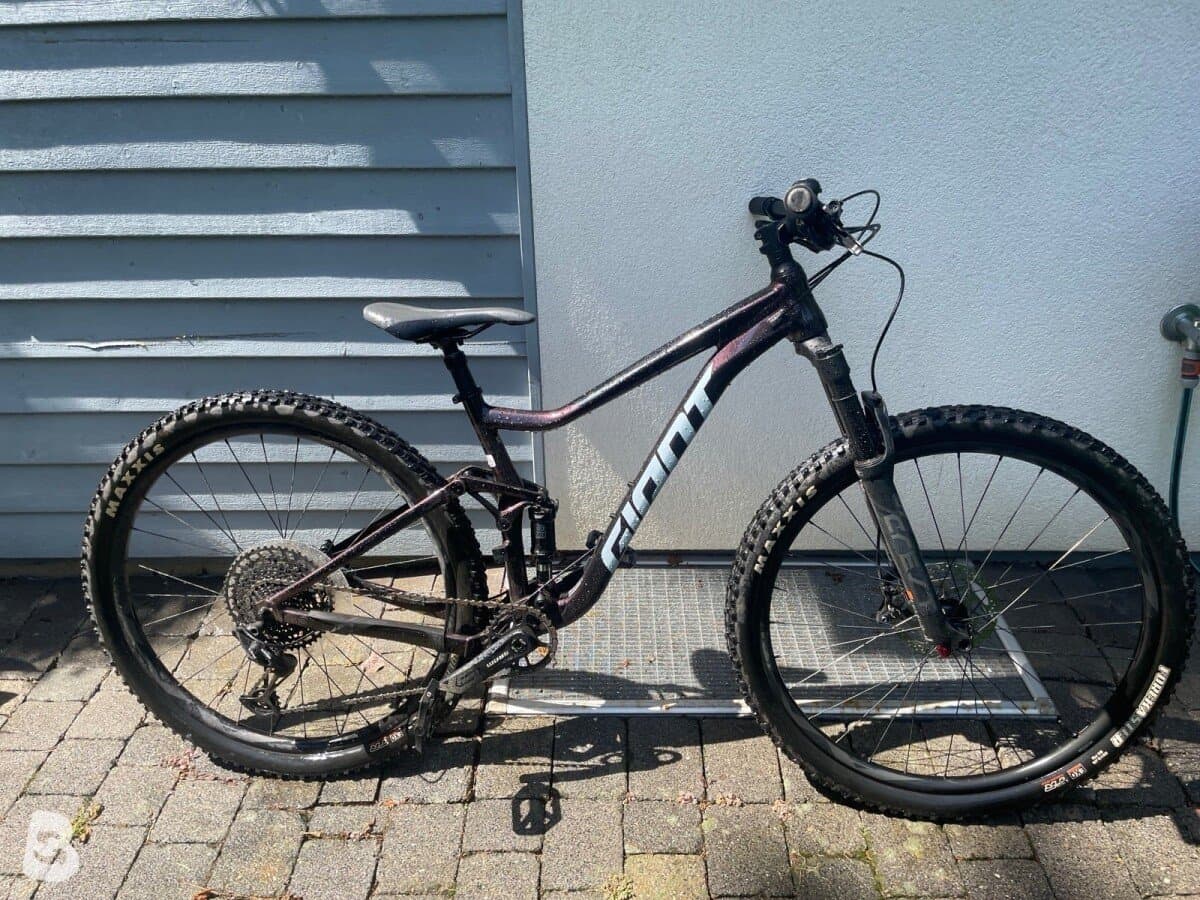 Giant Stance 29 1 2022