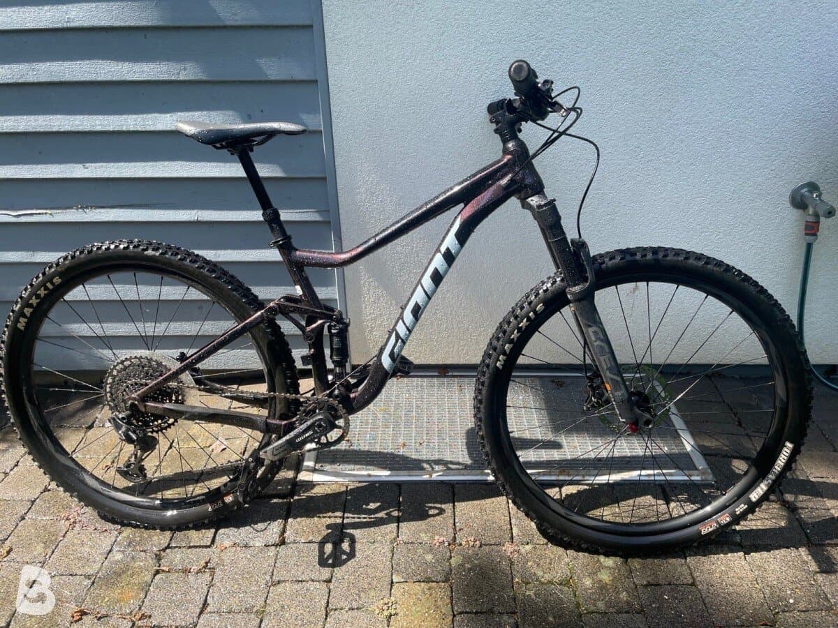 Giant Stance 29 1 2022