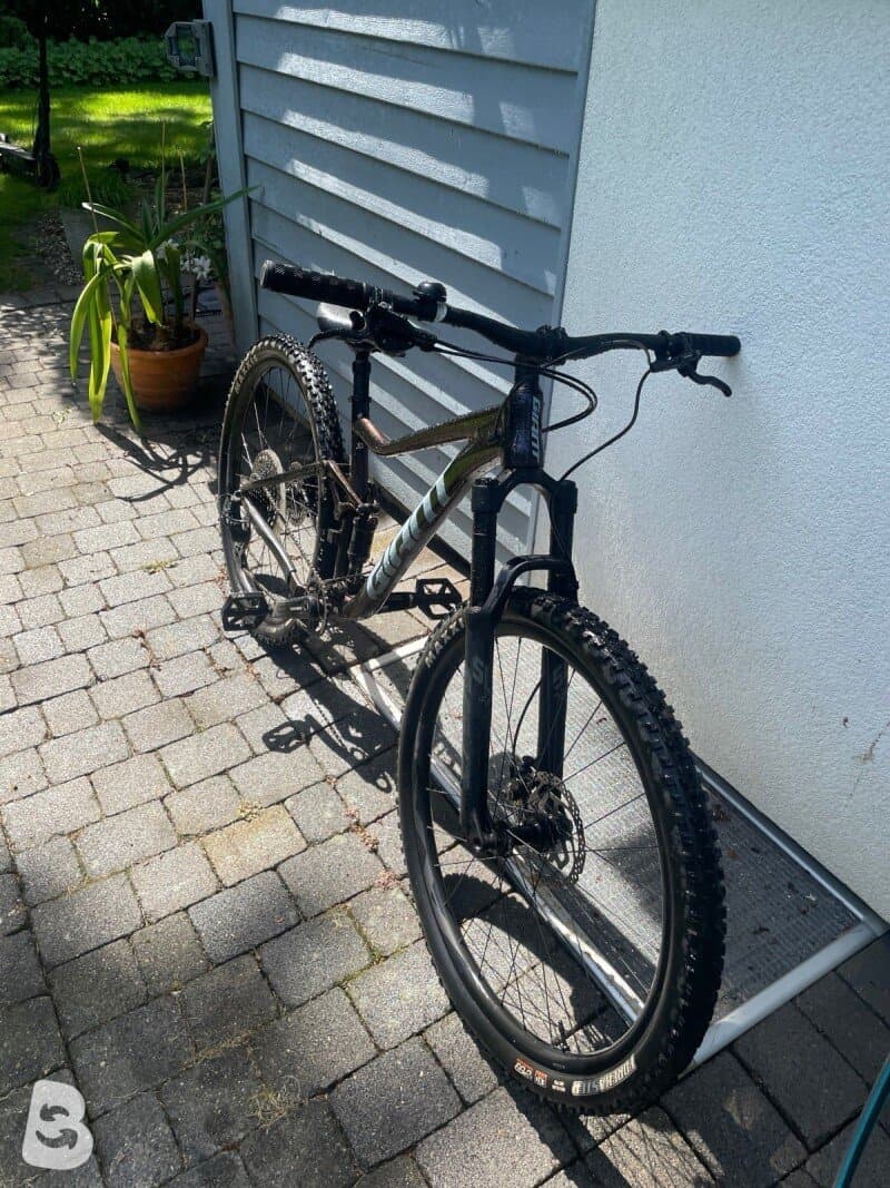 Giant Stance 29 1 2022