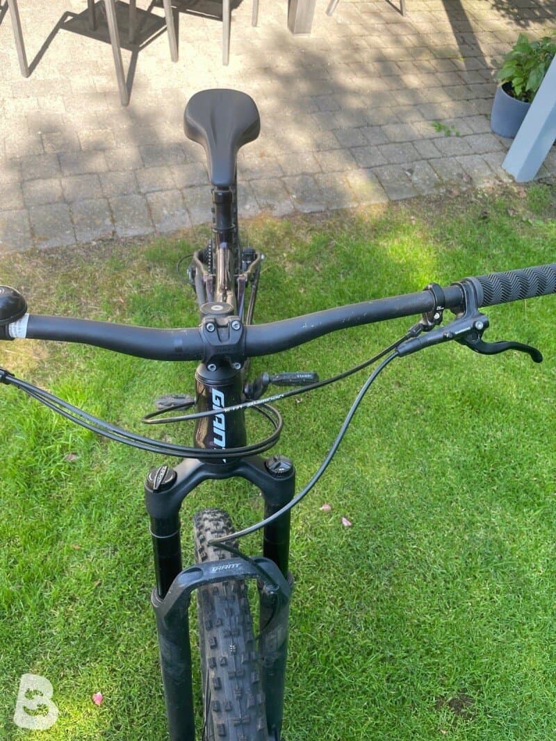 Giant Stance 29 1 2022