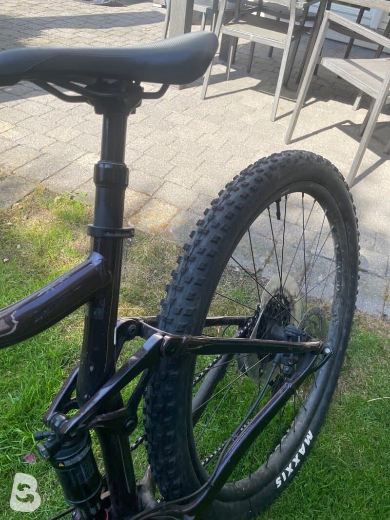 Giant Stance 29 1 2022