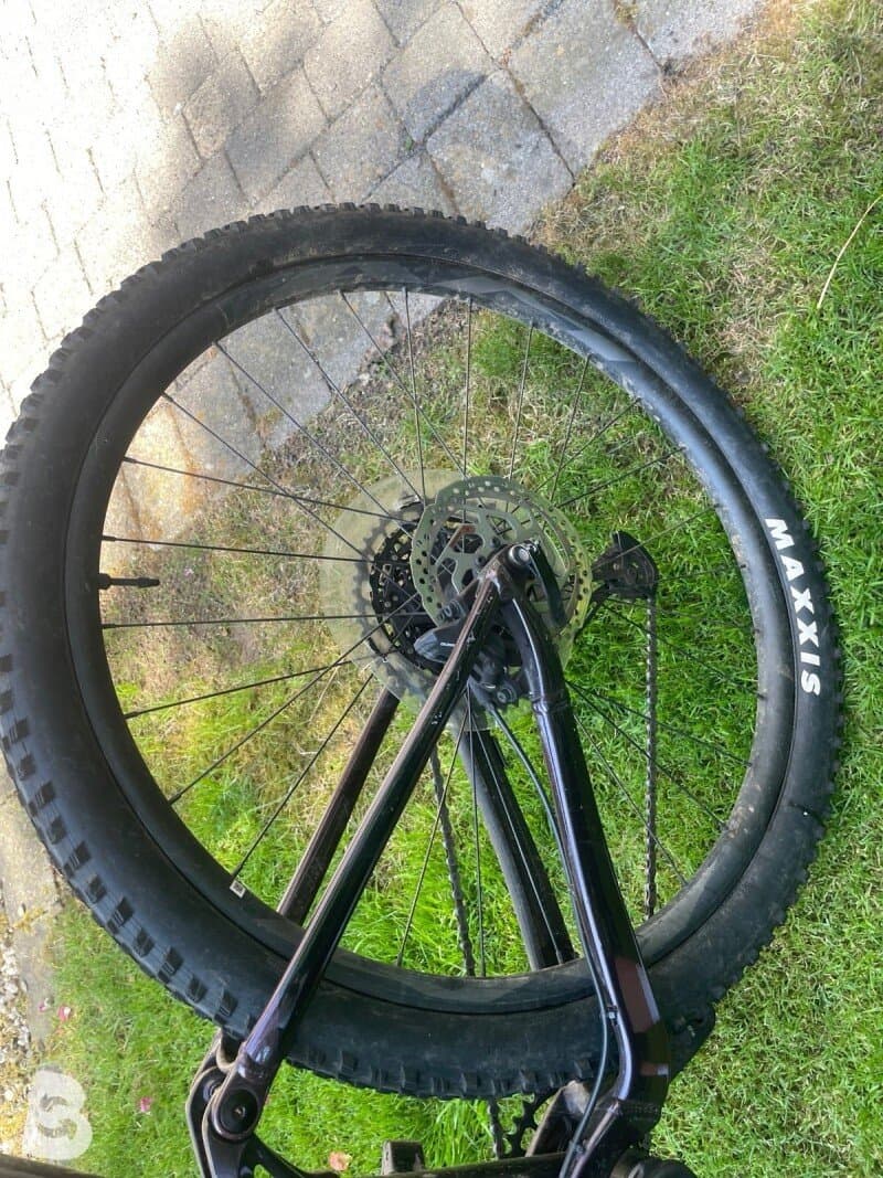 Giant Stance 29 1 2022