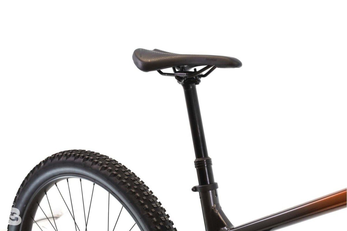 Trek Top Fuel 5 2023