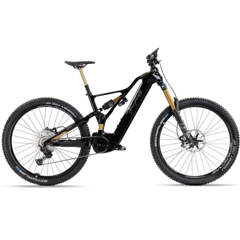 Kneissl Design World Champion Testrad 2024