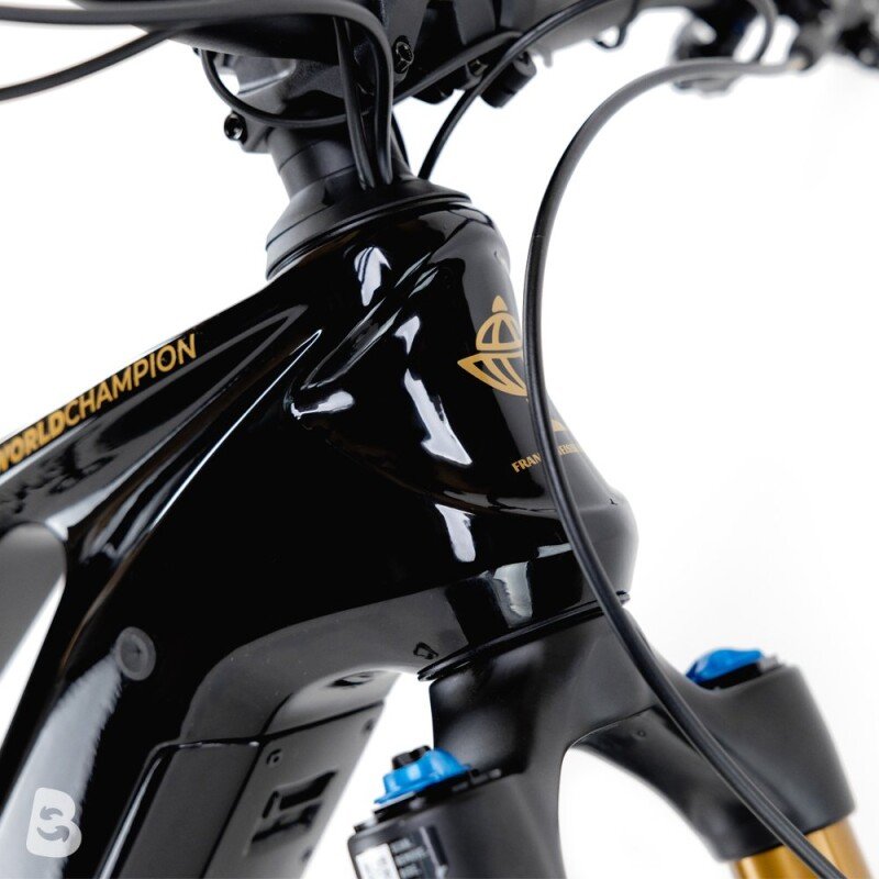 Kneissl Design World Champion Testrad 2024