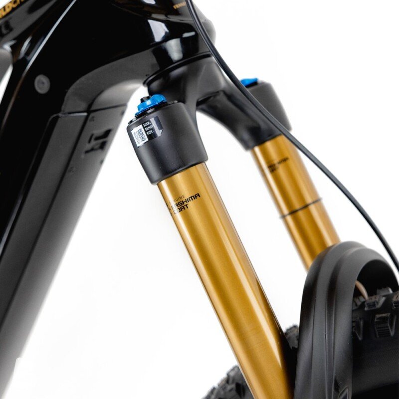 Kneissl Design World Champion Testrad 2024