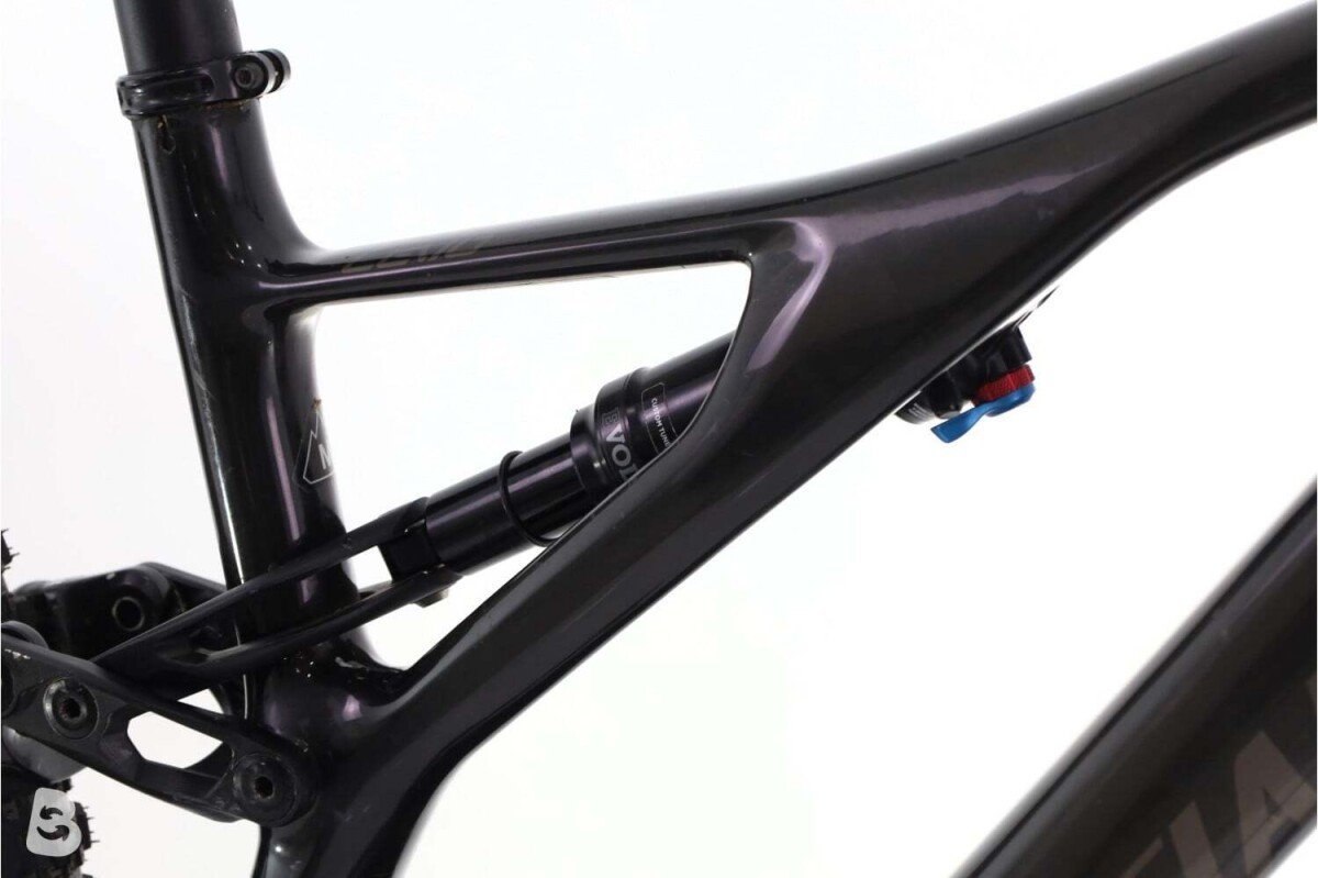 Specialized Turbo Levo 2024