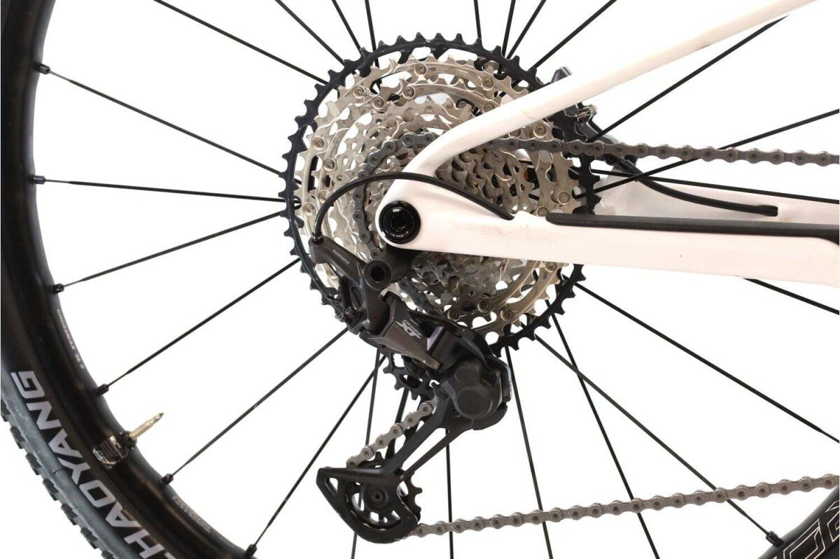 Berria Mako XT 2020