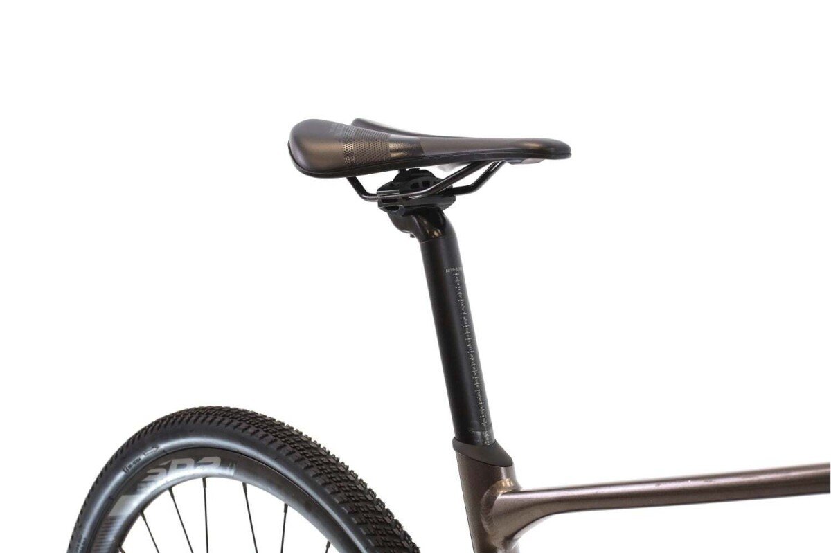 Giant Revolt 2 2020