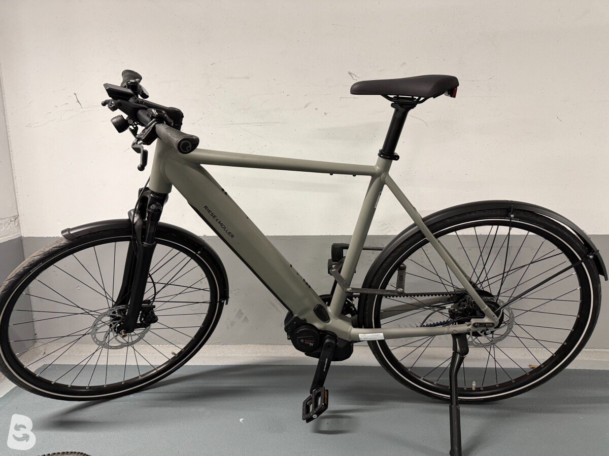 Riese & Müller Roadster4 vario 2024